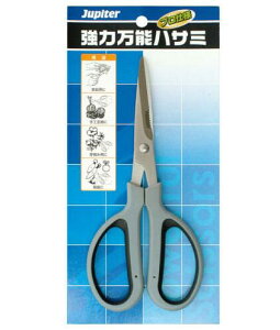 y[ցIz Ws^[ #400630 JP͖\nT~ nn65mm/S180mm ЎR@Jupiter