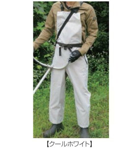 �y���[���ցI�z�@�@���J�� 3029 �h���Y�{���^ �t�@�X�i�[�t���G�v�����i�N�[���z���C�g�j �֐��m�� SAW MASTER �i�����p�j�����p �\�[�}�X�^�[