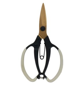 y[ցIz@@Sita iTC^j A918 `^R[eBO@A؂͂ S 215mm OR[|[V