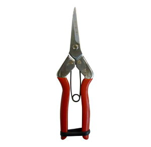 y[ցIz@@Sita iTC^j A911 ̉ʁE؂͂ S 195mm | OR[|[V