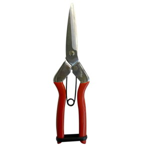 y[ցIz@@Sita iTC^j A912 n̉ʁE؂͂ S 205mm | OR[|[V