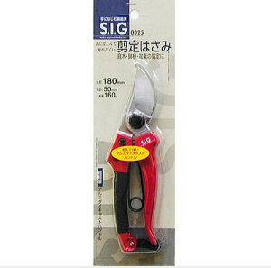 �y���[���ցI�z�@�@SIG G025 ��ɂȂ���Ŕ��ɂ��� ����͂��� �S�� 180mm ���|��