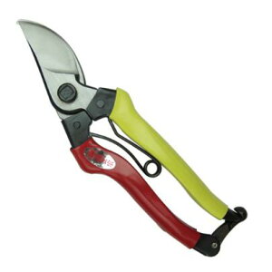 y[ցIz@@ @ No.702  A^ 200mm lWinF62mmjA؉ L gn쏊 ͂ {