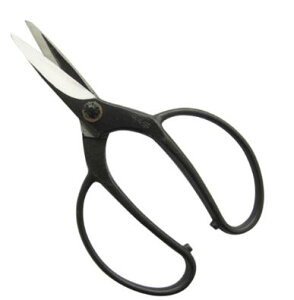 y^[pbNCgցIz@@ @ No.2025 A 75mm |t lWinF75mmjA؉ L gn쏊 ͂ {