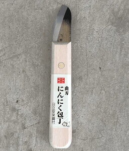 y[ցIz@@ @ No.801 jjN   | inF53mmjɂɂ L gn쏊 {