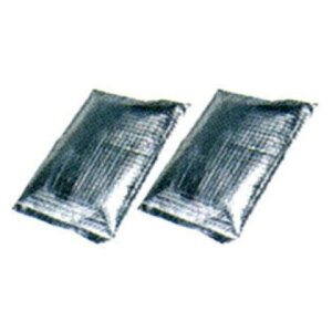 }L^ pۗ(21Zbg) [ A-65056 ] E͕ʓrKv