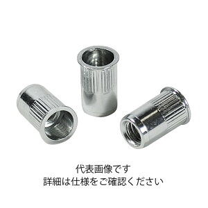 uebNX Gr [bgibg 1000{ [ NSK6MR ] | uX^[ LOBSTER E͕ʓrKv