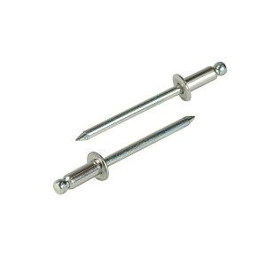 uebNX Gr uChxbg ۓ 1000{ [ NSS54 ] | uX^[ LOBSTER E͕ʓrKv