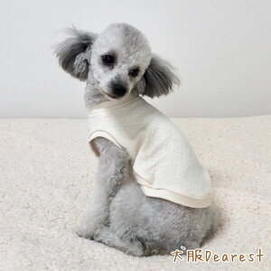 yC^OE~jspzyfUCIׂz 100% Ci[@ ̕ Dearest