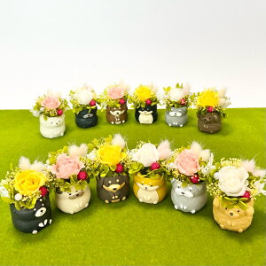 j[A2780~2280~y~j~j񂱃|bgzy䂤pbNE[2`4zvU[uht[@t[Mtg@t[AWg@Wan's garden Dearest