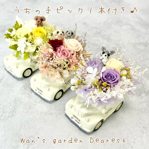 ysbN1{t^Ԃ݂̂zy̎qt[AWgzy䂤pbNzNVbNJ[@vU[uht[@t[Mtg@Wan's garden Dearest