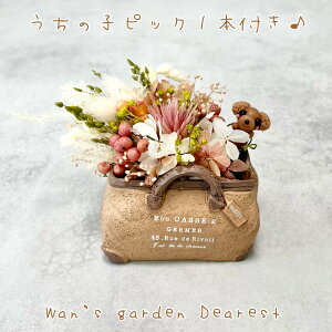 ysbN1{t^Ԃ݂̂zy̎qt[AWgzy䂤pbNz{XgobO@vU[uht[@t[Mtg@Wan's garden Dearest