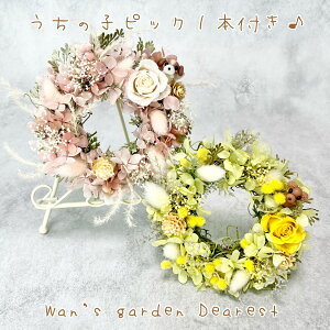 ysbN1{t^Ԃ݂̂zy̎qt[AWgzy䂤pbNz[XM vU[uht[@t[Mtg@Wan's garden Dearest