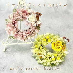 ysbN1{t^Ԃ݂̂zy̎qt[AWgzy䂤pbNz[XS vU[uht[@t[Mtg@Wan's garden Dearest