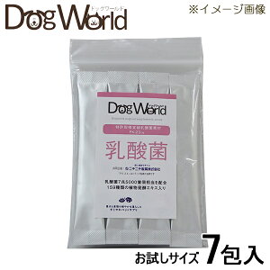 _ۃTvg 159ނ̐HyGLXz p 7mܖF2026/3n