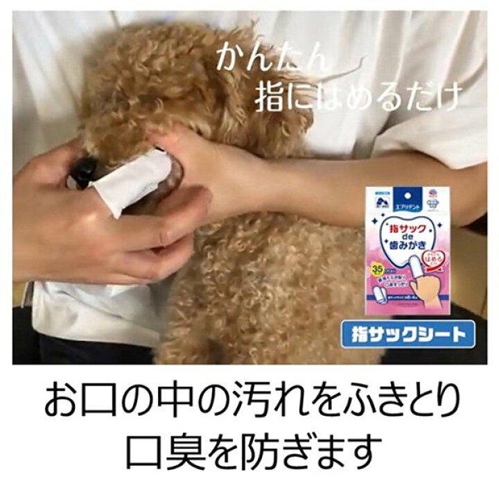 112円 ギフト エブリデント 指サックde歯みがき 35枚入 112円 ギフト エブリデント 指サックde歯みがき 35枚入