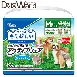 L~ ̂т̂ѓANeBuEFA Mȉ t[TCY 26 ll2܂