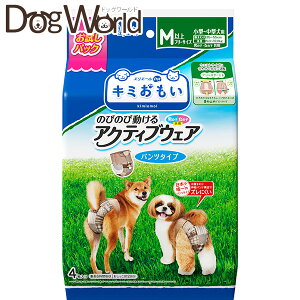 L~ ̂т̂ѓANeBuEFA Mȉ t[TCY 4 ll2܂