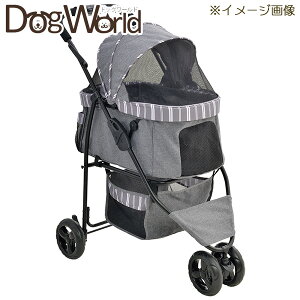 WFbNX J[g X}[gnfB Safety XgCvO[msn