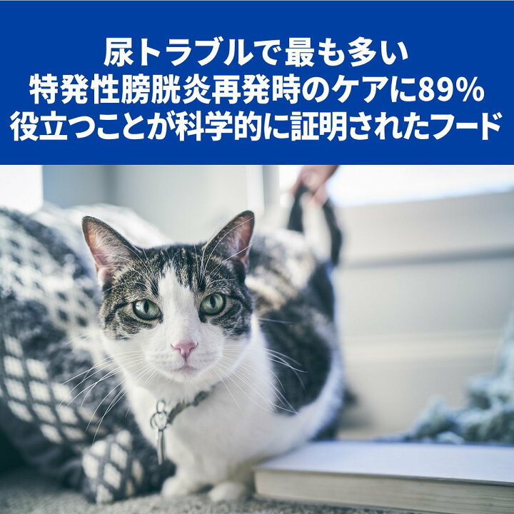 百貨店 ヒルズ 猫用 C D マルチケア 尿ケア チキン 2kg 2袋セット Fucoa Cl