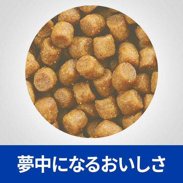 専門ショップ ヒルズ 食事療法食 猫用 r d アールディー 減量 ドライ 2kg newschoolhistories.org 専門ショップ ヒルズ 食事療法食 猫用 r d アールディー 減量 ドライ 2kg newschoolhistories.org