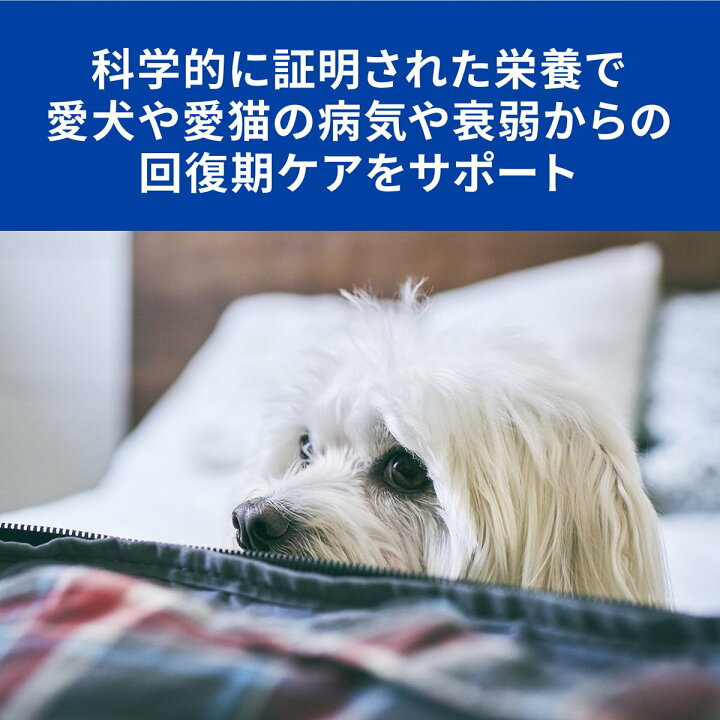7846円 【​限​定​販​売​】 ヒルズ 犬猫用 a d 回復期ケア 156g缶×24