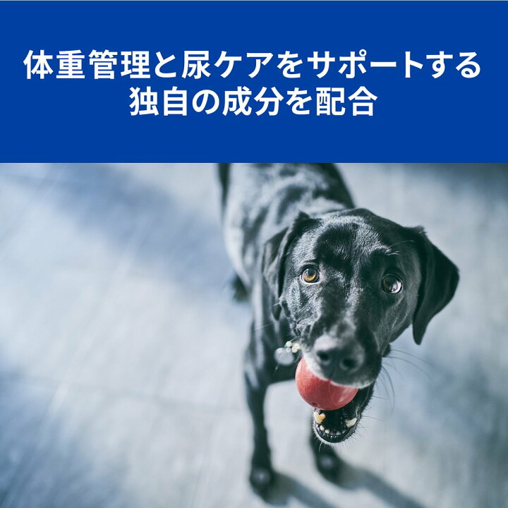 最大 Offクーポン 2袋セット ヒルズ 犬用 C D マルチケア 尿ケア 小粒 ドライ 1kg Dprd Jatimprov Go Id