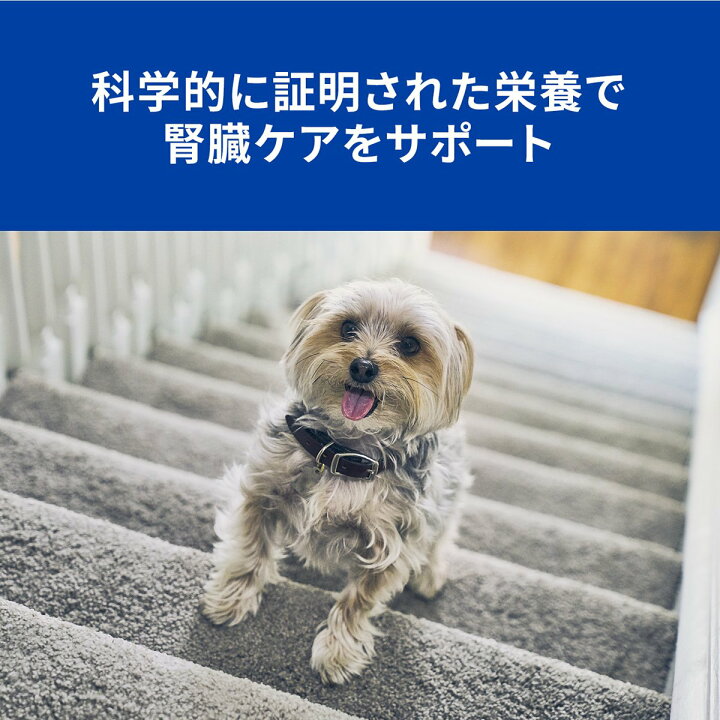 大勧め 腎疾患に優れたフード ヒルズ 犬用 K D 腎臓ケア 缶 370g 11 Www Anavara Com