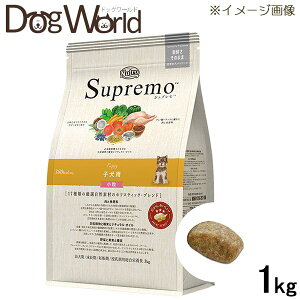 j[g Vv qp  1kgmܖF2026/1n