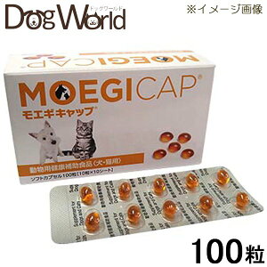 GMLbv ELp 100i10×10V[gj