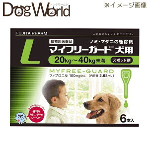 }Ct[K[h p L 20`40kg 6{i2.68mL×6jipij