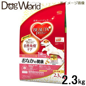 �r���[�e�B�[�v�� �h�b�O ���Ȃ��̌��N 1�΂��� 2.3kg