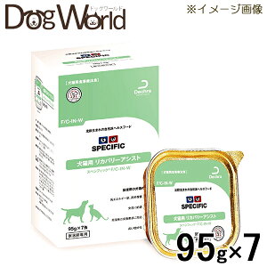 XyVtBbN Lp Jo[AVXg F/C-IN-W EFbg^Cv 95g×7mܖF2026/3n