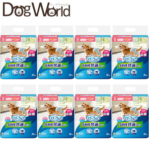 j`[ }i[EFA ԉKIc jp STCY 30×8msnmn