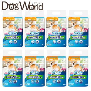 j`[ }i[EFA ԉKIc jp LTCY 26×8msnmn