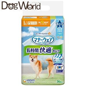 j`[ }i[EFA ԉKIc j̎qp LTCY 36 ll2܂