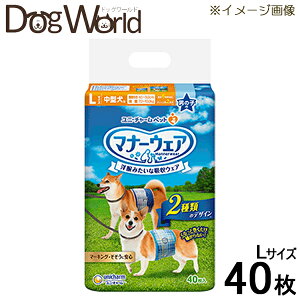 j`[ }i[EFA j̎qp LTCY `FbNE`FbN 40 ll2܂