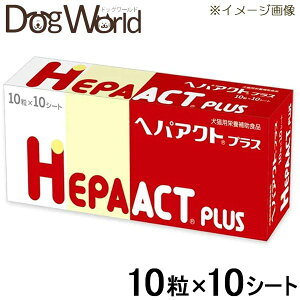 wpANgvX Lp 10×10V[g