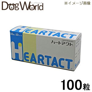 n[gANg Lp 10×10V[g