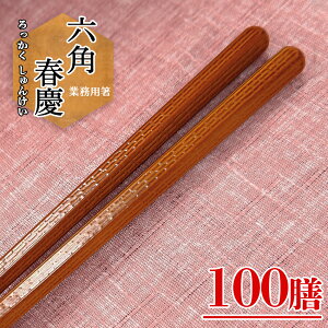 食洗機対応 業務用箸 PBT 六角春慶 100膳入り エコ箸 リターナブル箸 高級 箸 料亭 割烹 旅館 食洗機対応 お箸 ラーメン うどん パスタ 麺類 おはし chopsticks 子