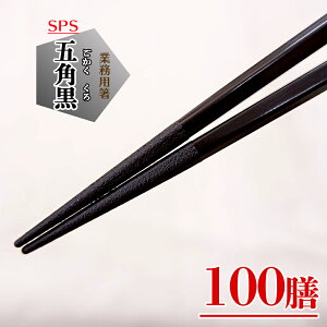 Ɩp SPS܊p  100V  H@Ή vX`bN lp q GR ^[iu  HX [ ǂ pX^ ˗ chopsticks q
