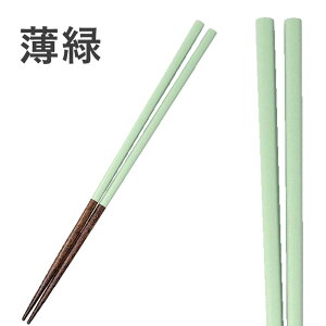 ɓސF蔢 27cm | R 蔢 ؔ H@Ή {  H Jg[ VR ؐ Ɩp ׂ~ NX}X p[eB qp H Jr   ΍ \