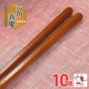 Ɩp PBT Zptc 10V Ɩp  GR ^[iu   B  H@Ή  ͂ [ ǂ pX^ ˗ chopsticks q