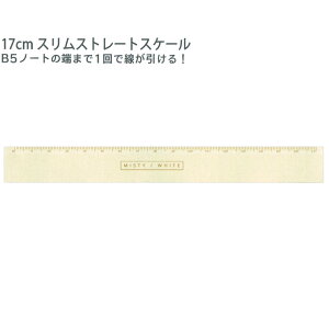 yX[p[Z[ő5%OFFN[|zy[ OKz  K ̂ ̎q  jAXJ[ 17cm X ~XeB zCg N[A   킢 [