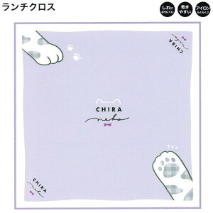 y30ő5%OFFN[|z`NX itL ̎q  ` Chira Neko L ɂȂɂ |GXe J~IWp   킢 [