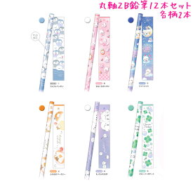 【15日限定5%OFFクーポンあり】えんぴつ 鉛筆 2B 女の子 向け 12本セット ダース アソート ペンギン ウサギ 猫 シマエナガ クローバー クーリア おしゃれ で かわいい 文房具