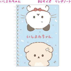 y18ő5%OFFN[|zB6Lm[g ̎q  킿 Ck u[ NY42702 TGbNX   킢 [