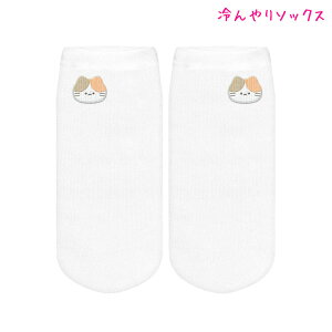 y1ő4%OFFN[|zC ̎q  Xj[J[\bNX N[\bNX ɂ L J~IWp   킢 [