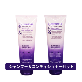 送料無料 ジョバンニ giovanni ☆セット☆2chic ダメージ シャンプー 250ml & 2chic ダメージ コンディショナー 250ml ヘアケア オーガニック 自然派 植物エキス ボタニカル ダメージケア ダメージ補修 カラーケア パーマ ハイダメージ ブリーチ ブリーチケア 枝毛 切れ毛