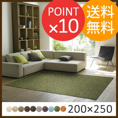 【レビュー記入で?300円】スミトロンニューツイスティシャギーラグ200×250cmスミトロンニューツイスティースミノエ